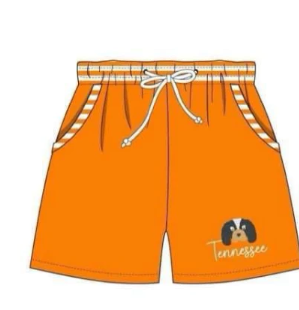 (Custom Design Preorder MOQ 5) Team's Orange T Print Boys Swim Trunks