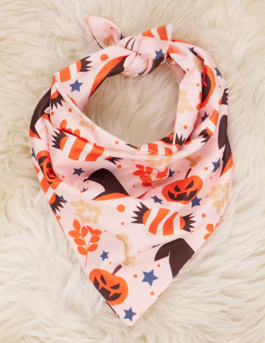 (Custom Design Preorder MOQ 5) Candy Pumpkin Print Collar Doggy Bandana