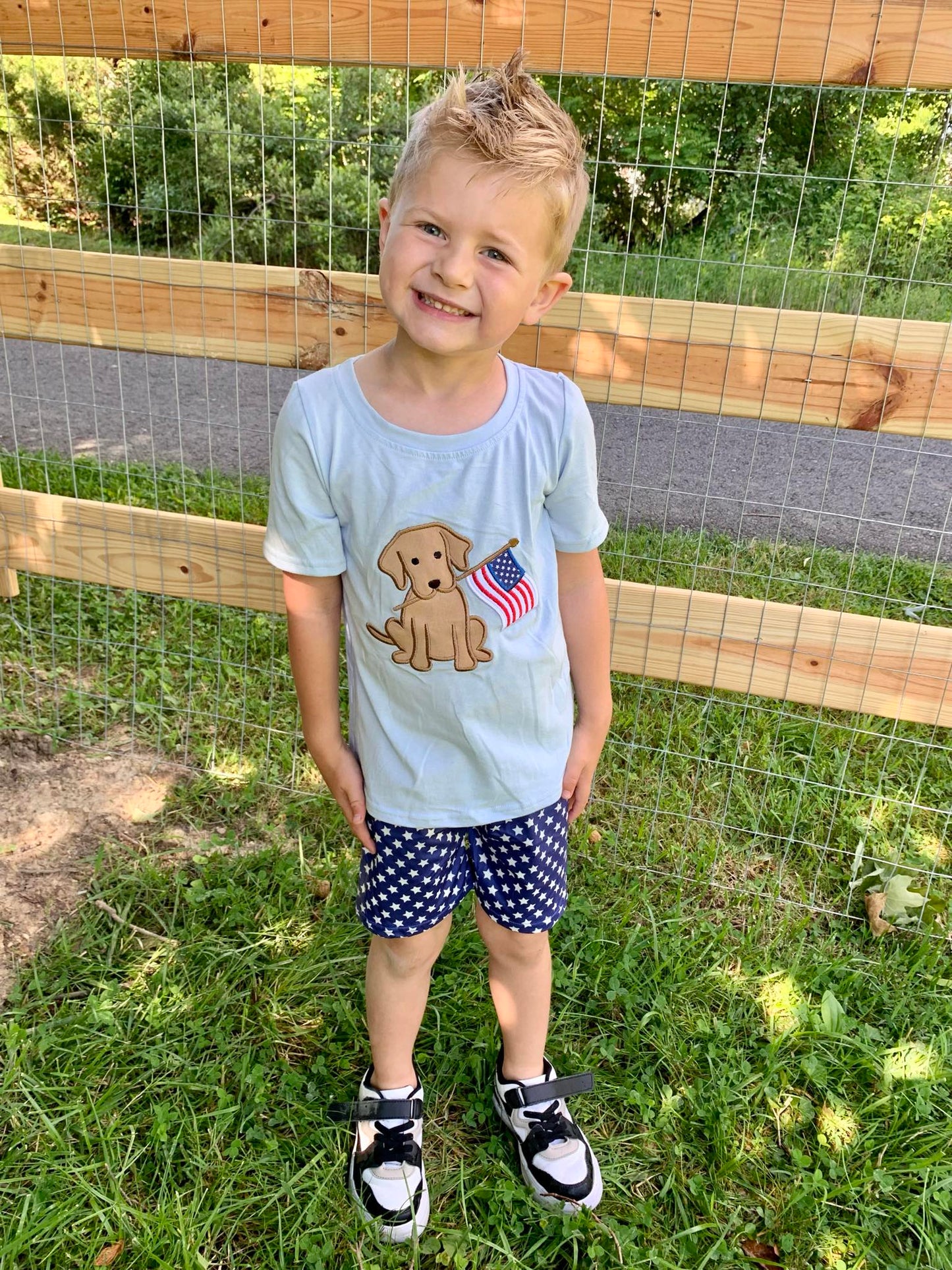 BSSO0227 Boys blue cotton dog flag embroidery top star shorts 4th of July clothes set