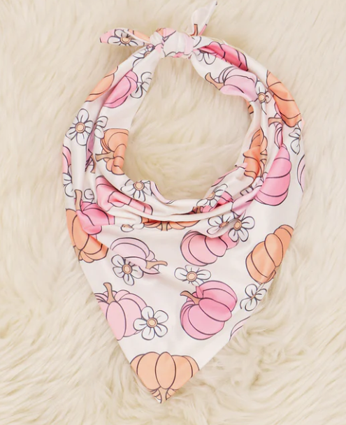 (Custom Design Preorder MOQ 5) Pink Pumpkin Print Collar Doggy Bandana