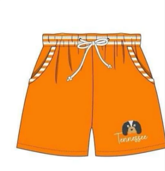 (Custom Design Preorder MOQ 5)  Team's Orange T Print Boys Swim Trunks