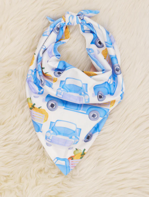 (Custom Design Preorder MOQ 5) Blue Truck Pumpkin Print Collar Doggy Bandana