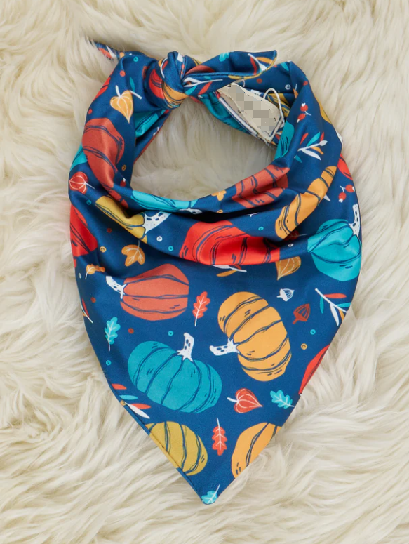 (Custom Design Preorder MOQ 5) Colorful Pumpkin Print Collar Doggy Bandana