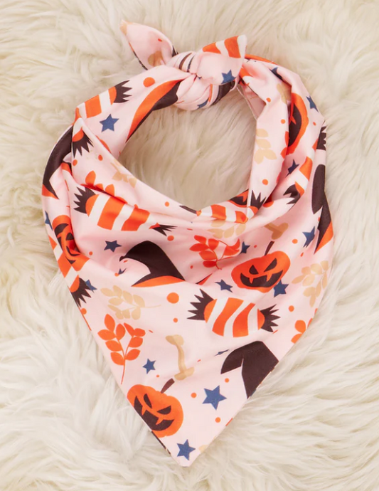 (Custom Design Preorder MOQ 5) Candy Pumpkin Print Collar Doggy Bandana