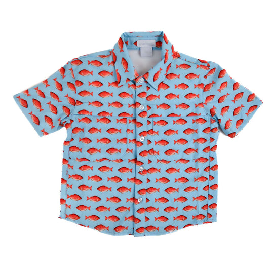 (Pre-order)BT0676  Fish Print Boys Summer Tee Shirts Top