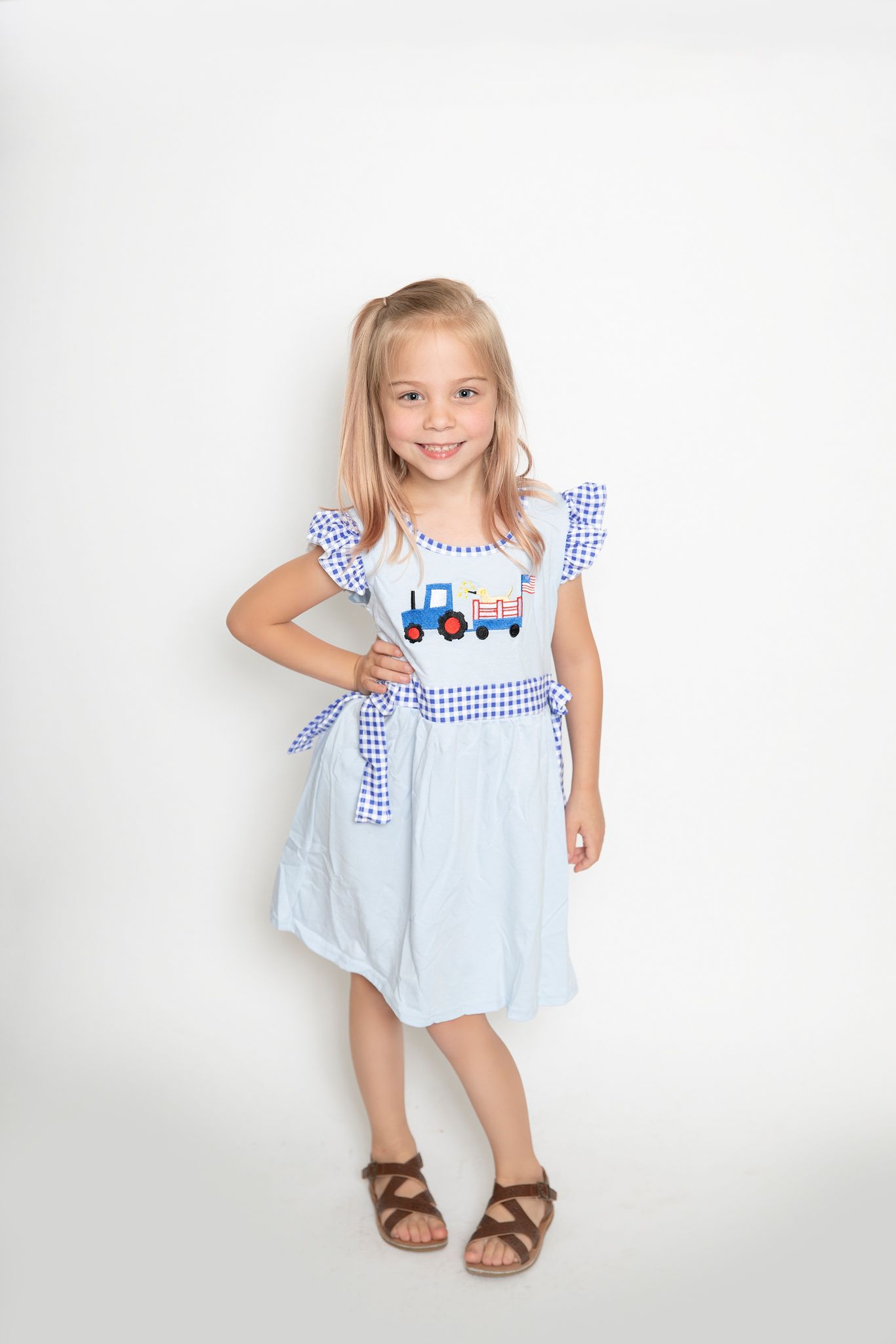 Girls truck dog flag print 4th of July dress   GSD0279