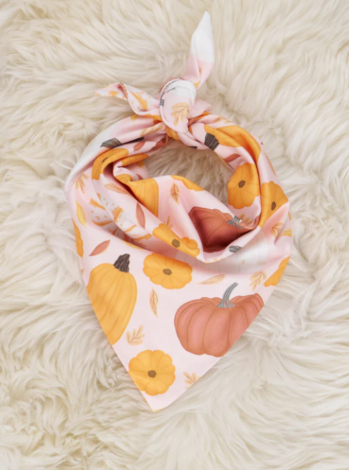 (Custom Design Preorder MOQ 5) Pumpkin Print Collar Doggy Bandana