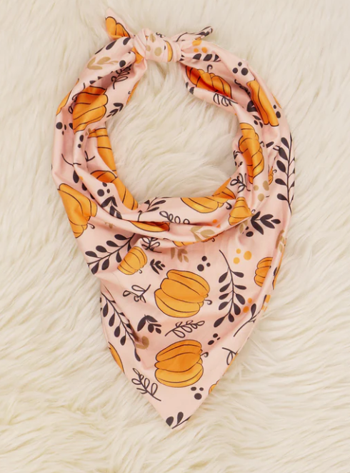 (Custom Design Preorder MOQ 5) Orange Pumpkin Print Collar Doggy Bandana
