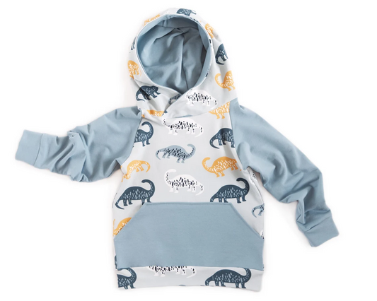 (Custom Design Preorder MOQ 5) Dino Gray Print Kids Fall Hoodie Top