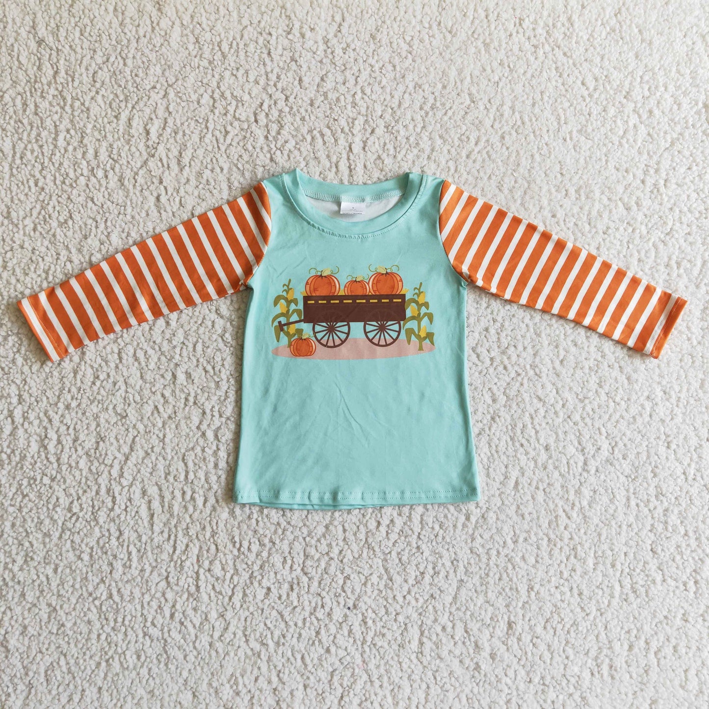 (Promotion)Boys fall pumpkin T-shirts         BT0030
