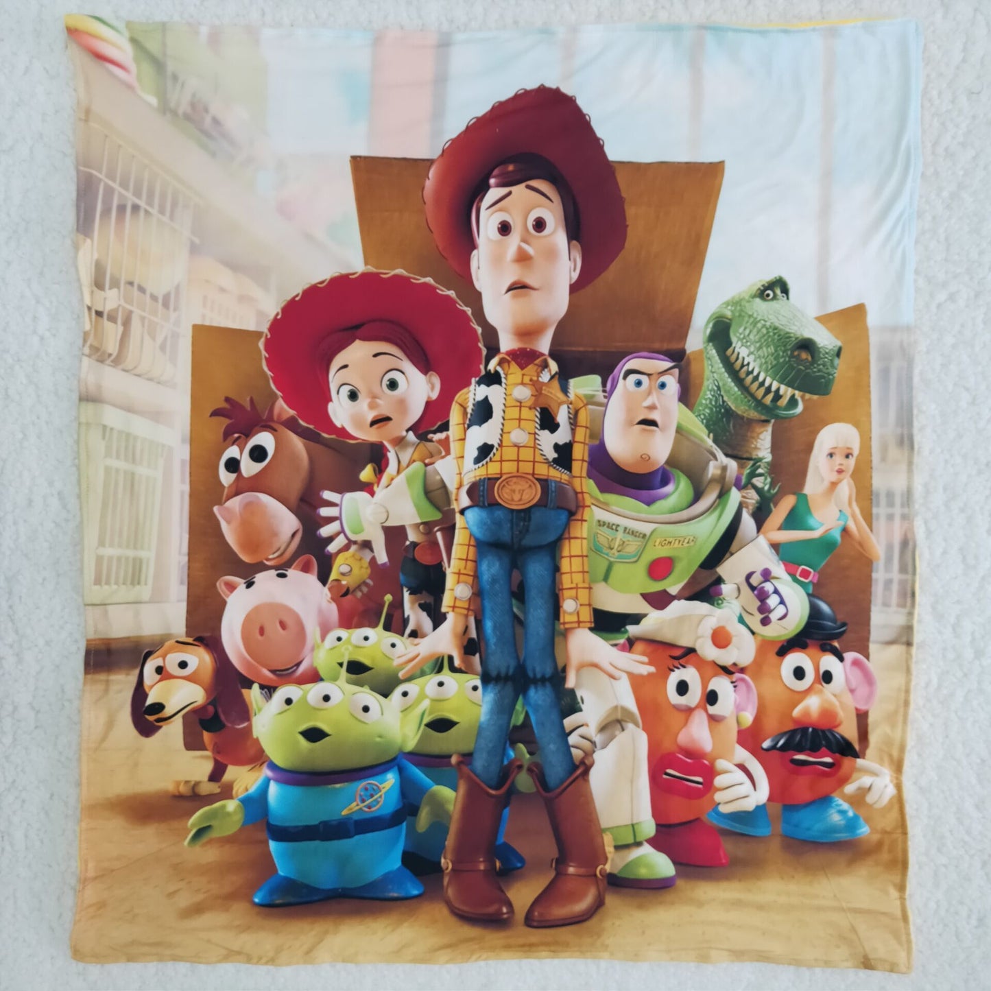 Cartoon blanket